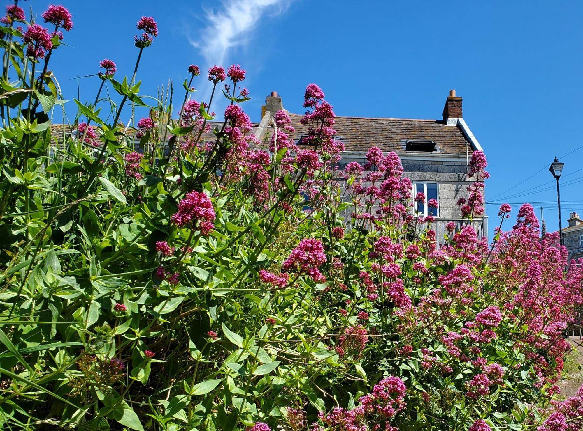 Sea View Cottage Portland Bagian luar foto